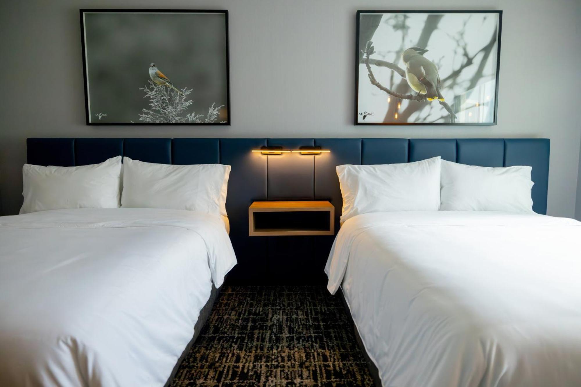 Voco Saltillo Suites By Ihg Kültér fotó